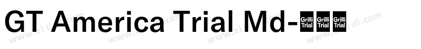 GT America Trial Md字体转换